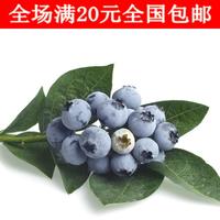 盆栽蓝莓树苗当年结果 多年蓝莓苗一颗包邮原土发货