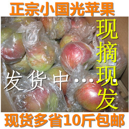 包邮10斤促销新鲜水果正宗老品种烟台小国光苹果精选酸酸甜甜