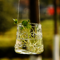 MX欧式悬挂 玻璃透明花瓶 植吊瓶水培花瓶创意花瓶水养金钱草花瓶