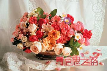特价香港品牌图美拼图1000片高档静物餐厅装饰画 清新花蕾125