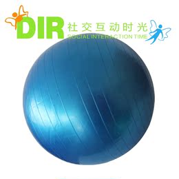 感统训练器材塑料大滚球彩色大滚球大龙球儿童玩具球触觉球自闭症