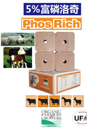 英国原装进口5%富磷洛奇母羊营养舔砖养羊设备促孕洛奇全国包邮