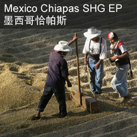 墨西哥恰帕斯Mexico Chiapas SHG精品咖啡豆口感温和入喉甜奶油味