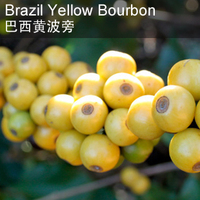 巴西黃波旁庄园精品咖啡豆/咖啡粉Brazil Yellow Bourbon下单烘焙