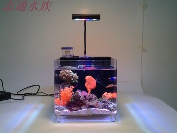 海洋宝贝：迷你自动恒温水族箱套缸单缸海水缸珊瑚缸裸缸价