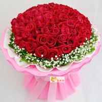 99朵红白粉玫瑰北京上海杭州长沙深圳沈阳同城鲜花速快递特价包邮