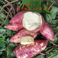 新鲜红薯纯天然绿色有机健康食品番薯 农家现挖地瓜 红皮白心山芋