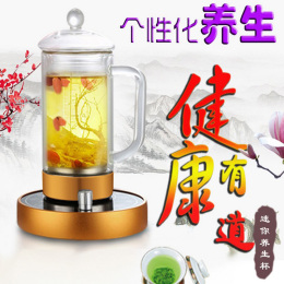 煮茶器泡茶壶迷你电热杯养生杯多功能保温分体加热水杯玻璃养生壶
