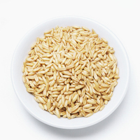 新货农家有机小麦仁粒麦子米小麦草种子榨青汁包邮5斤批发杂粮