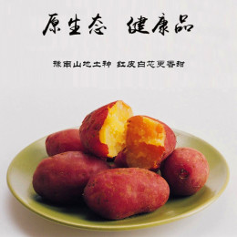 信阳新鲜红薯/红芋/地瓜/甘薯/番薯/农家富硒山地生红薯5斤装包邮