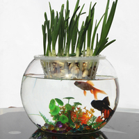 金鱼缸玻璃圆形生态水培缸带定植栏绿萝风信子金钱草圆球花瓶缸
