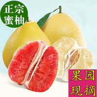 柚子 新鲜水果柚子红心柚平和蜜柚琯溪蜜柚白心蜜柚红肉柚子5斤装
