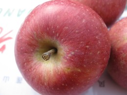 秀水苹果 甜苹果 2015新鲜水果国光苹果多省包邮净重10斤