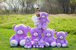 布娃娃抱抱熊泰迪熊公仔毛绒熊玩具薰衣草小熊生日儿童情人节礼物