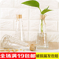 养花玻璃瓶绿箩水培容器客厅透明创意细长迷你单支绿萝玫瑰小花瓶
