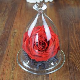 进口永生花玻璃罩玫瑰礼盒 保鲜花母亲节生日结婚礼物 顺丰速递