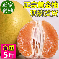 蜜柚 新鲜水果黄心柚子 黄金柚 平和特产琯溪蜜柚 现摘发货5斤装
