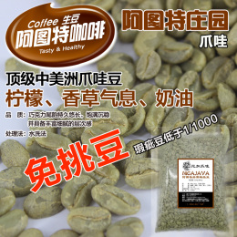 中美洲特种爪哇豆NICA JAVA长豆种咖啡生豆精品阿拉比卡水洗1000g