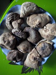 河南南召香菇干货（250g包邮）7公分左右香菇食用菌 蘑菇剪根