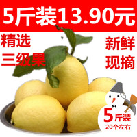 【云柠】5斤装13.90元 新鲜黄柠檬 安岳黄柠檬三级果 水果特产