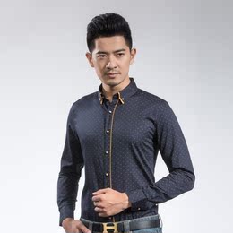 卡狮王2015新款男士韩版修身长袖衬衫商务休闲正品男装纯棉衬衣潮