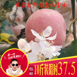 新鲜红富士苹果水果农家有机非冰糖心烟台苹果陕西洛川10斤包邮