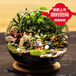 苔藓微景观生态瓶 底垫圆龙猫摆件 创意迷你植生日家装礼物送朋友