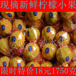现摘柠檬小果安岳特产有机新鲜优质黄柠檬小果3.5斤15元超值包邮