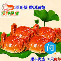 北京 鲜活大闸蟹 公3两 母蟹2.2两/单只公母满10只包邮 螃蟹现货