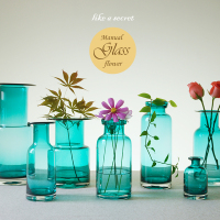 小象家zakka透明手工玻璃小花瓶美式时尚绿萝插花瓶花器装饰摆设