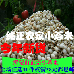 15年沂蒙山农家优质小薏米薏米仁 薏仁米 五谷杂粮 250g真空包装