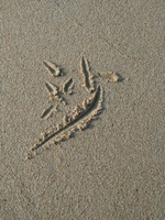 天然海沙 白沙子 沙滩乐园专用 儿童玩具沙 水族沙 沙盘