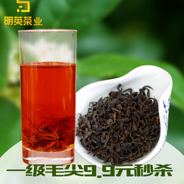 2015秋茶贵州特产都匀毛尖红茶养颜护胃二级红茶好茶试喝9.9秒杀