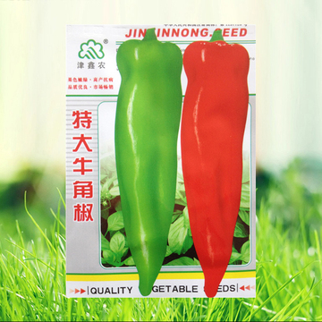 蔬菜之乡专用品种  美国特大羊角椒种子 青辣椒蔬菜种子 香辣好吃