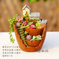 多肉植物可爱花盆花器树脂花盆卡通盆栽迷你韩国花盆精品组合创意