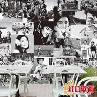 怀旧经典黑白中国电影音乐明星人物邓丽君李小龙大型壁画墙纸壁纸