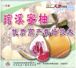 琯溪密柚种植技术大全 2光盘2书籍 矮化柚/柚子优质高效栽培合集