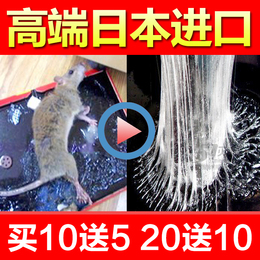 【10送5】9年老店日本进口粘鼠板老鼠贴捕鼠器药灭鼠器胶夹