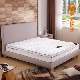 白色棉质针织布环保席梦思 超静音双人床垫1.8米时尚三边床垫子