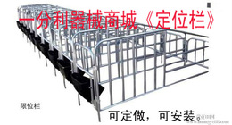 母猪定位栏限位栏育肥猪限位栏定位栏定位栏猪场设备养殖器械