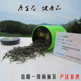 信阳毛尖2015新茶自产自销金刚台高山有机一级雨前绿野茶一斤包邮