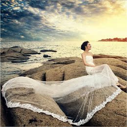 2015新款韩式抹胸蕾丝新娘结婚显瘦鱼尾长拖尾婚纱礼服 大码婚纱