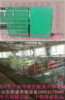 双体加厚产床母猪复合漏粪板分娩栏养殖器械猪产床（保育床定位栏