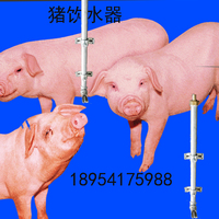 长管带卡子饮水器猪产床定位栏仔猪保育床咀水龙头猪咬嘴养猪设备