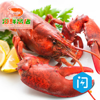 北京熟冻波士顿龙虾500g加拿大进口大龙虾新鲜生鲜海虾冷冻澳洲