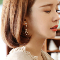 s925锆石耳钉女纯银流苏耳环气质长款甜美日韩国个性时尚耳坠饰品