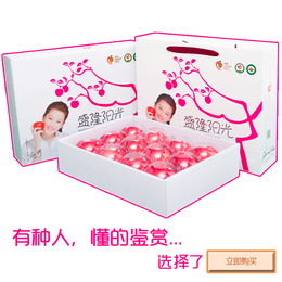 【精美礼盒】陕西白水有机红富士苹果新鲜现摘12颗包邮 （约5斤）