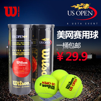 Wilson网球正品美网澳网比赛用网球威尔逊初学练习球专业训练球