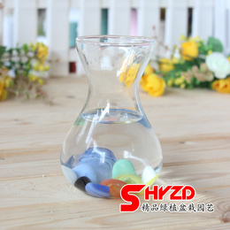 风信子玻璃水培容器 水仙花瓶 玻璃花盆 风信子瓶 水培瓶 插花瓶