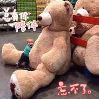 正品超大拥抱熊 美国costco大熊 93英寸2.4米高超大玩具熊泰迪熊